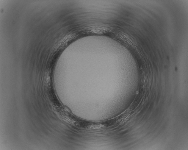 X0000062140595200601060925