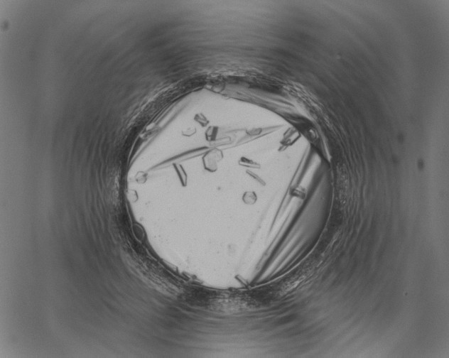 X0000062140596200601060925