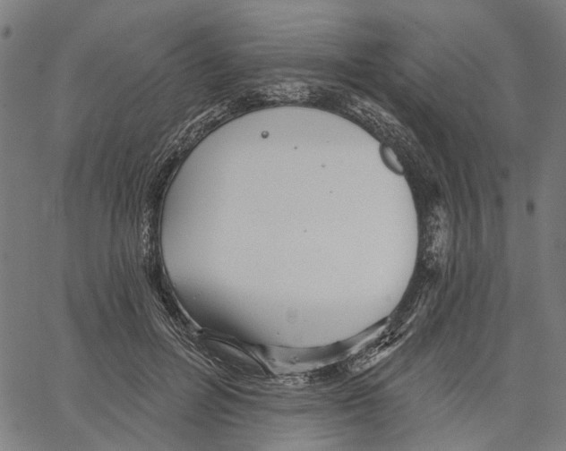 X0000062140600200601060925