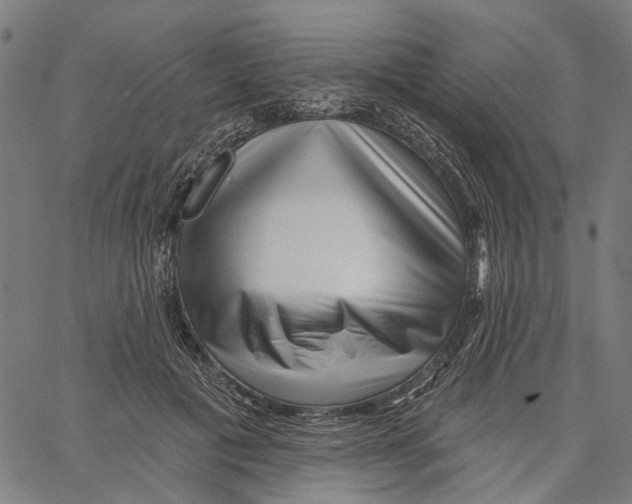 X0000062140601200601060925