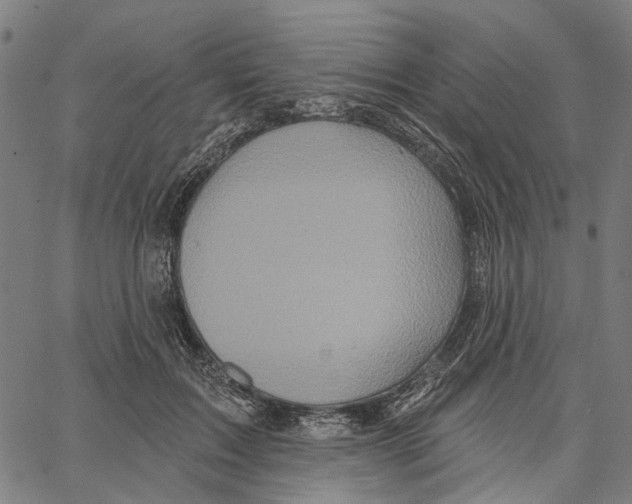 X0000062140603200601060925