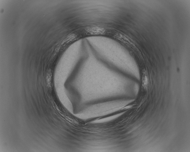 X0000062140604200601060925