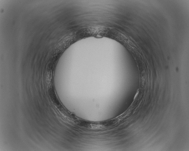 X0000062140605200601060925