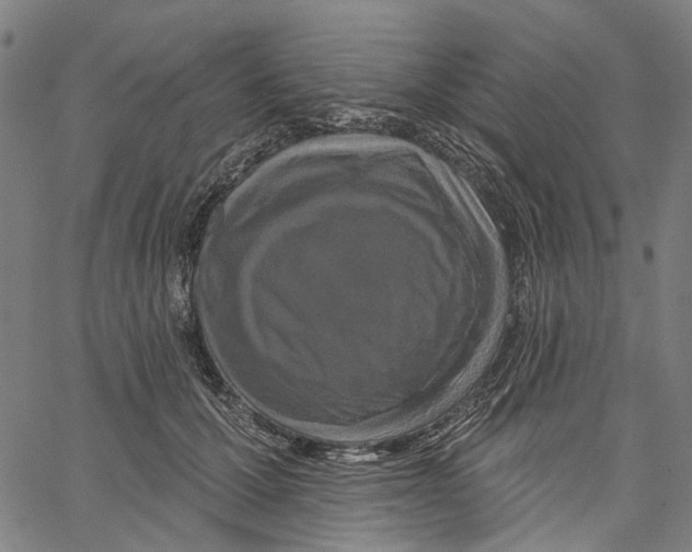 X0000062140607200601060925