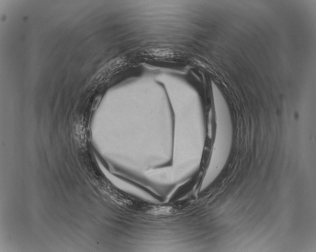 X0000062140609200601060925