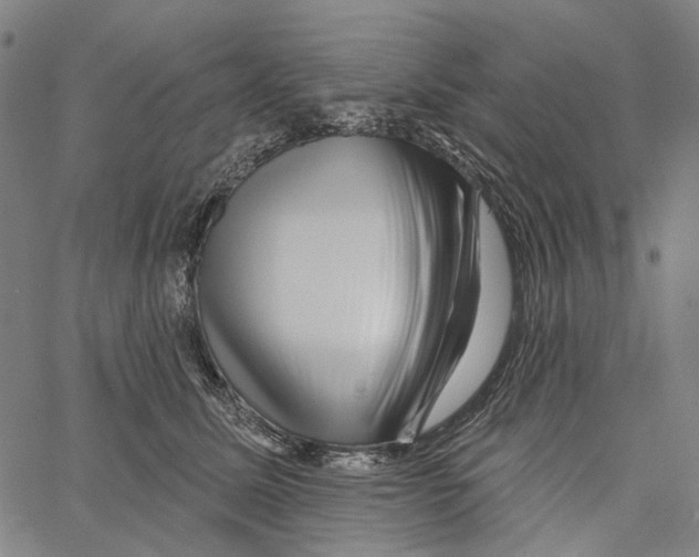 X0000062140611200601060925