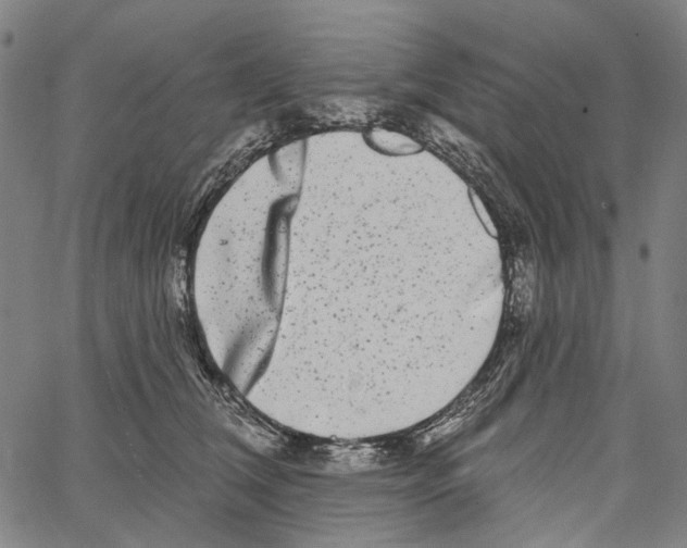 X0000062140612200601060925