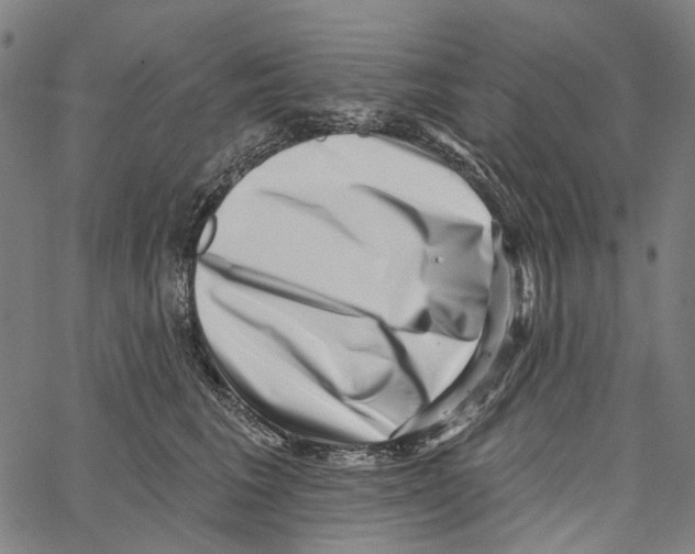 X0000062140613200601060925