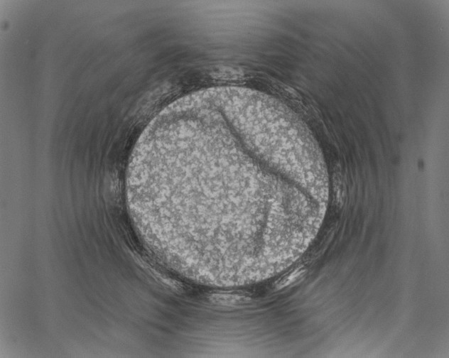 X0000062140614200601060925