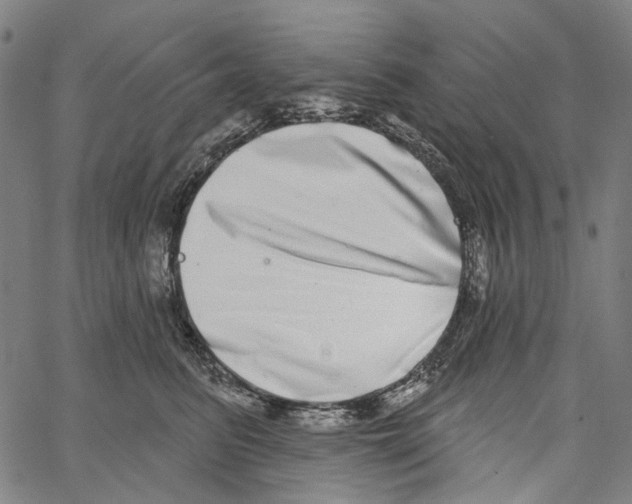 X0000062140615200601060925