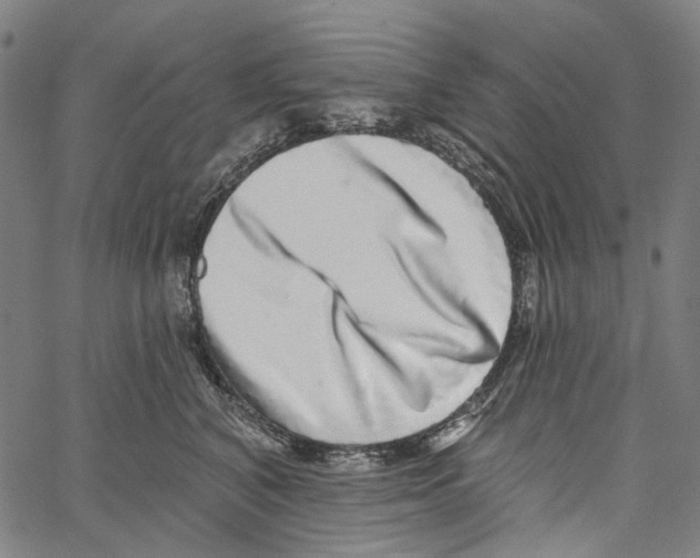 X0000062140616200601060925