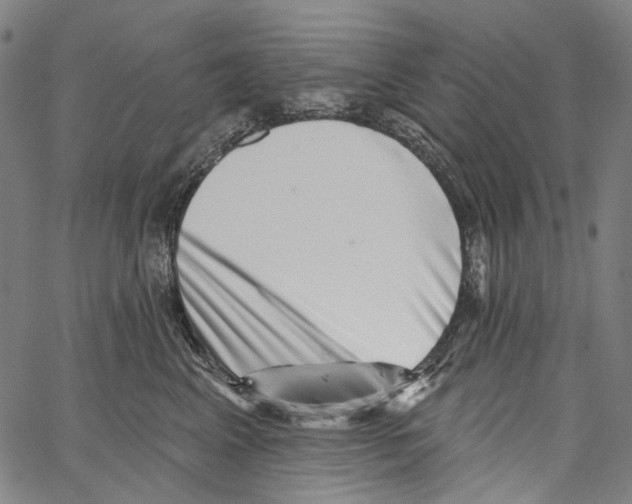 X0000062140617200601060925