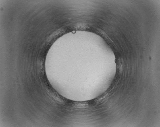 X0000062140619200601060925