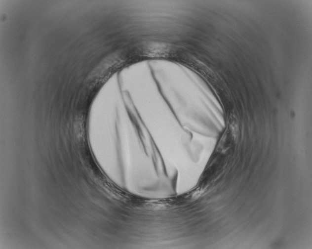 X0000062140620200601060925