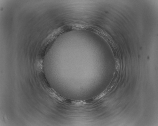 X0000062140621200601060925