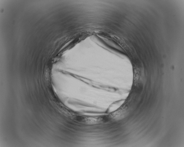 X0000062140623200601060925