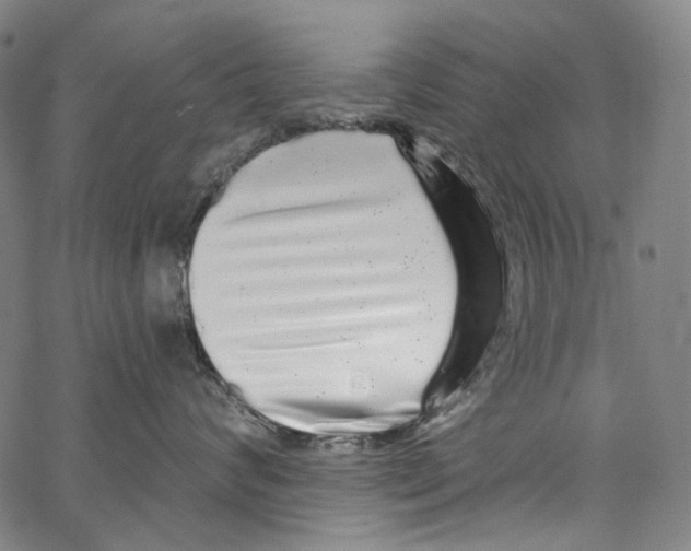 X0000062140624200601060925