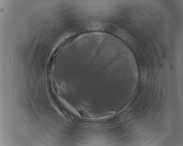 X0000062140626200601060924