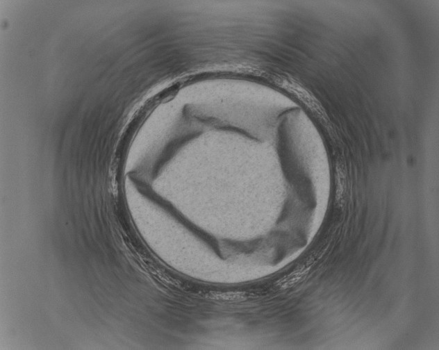 X0000062140628200601060924