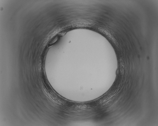 X0000062140631200601060924