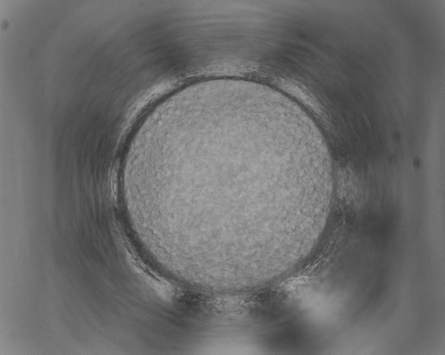 X0000062140632200601060924