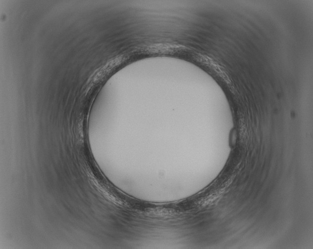 X0000062140633200601060924