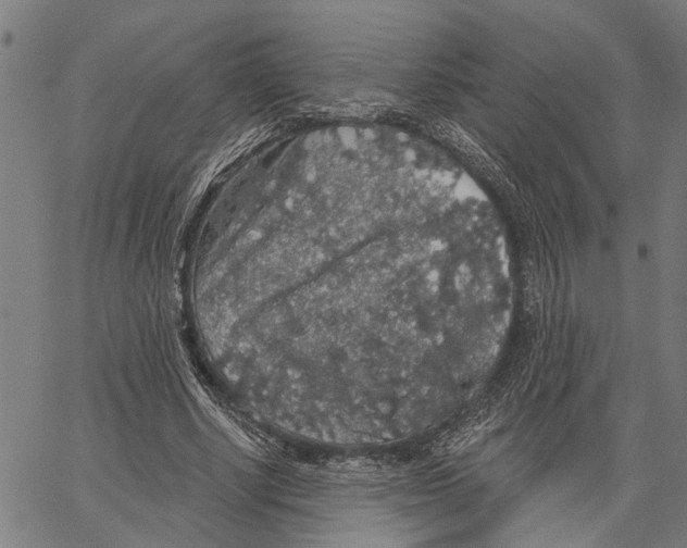 X0000062140634200601060924