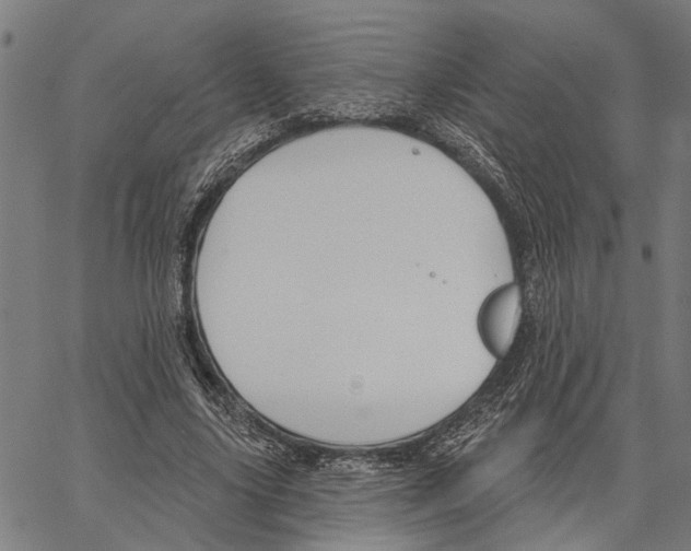 X0000062140635200601060924