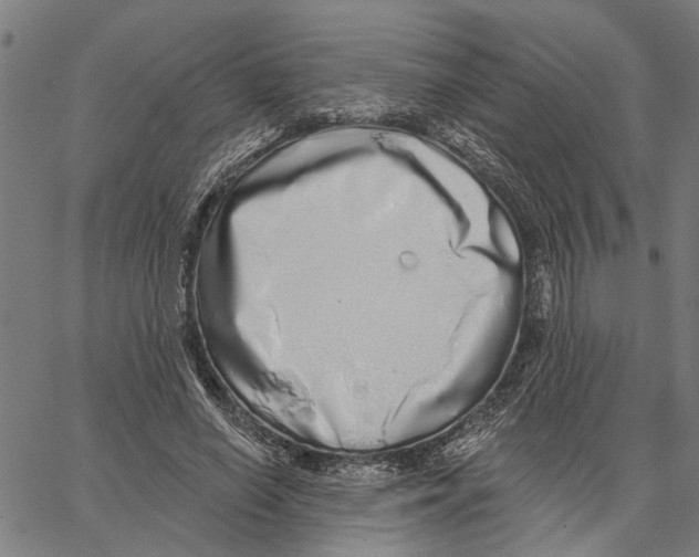 X0000062140638200601060924