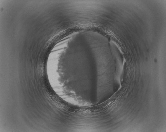 X0000062140640200601060924