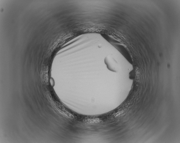 X0000062140642200601060924