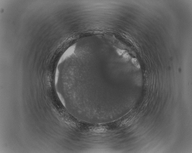 X0000062140643200601060924