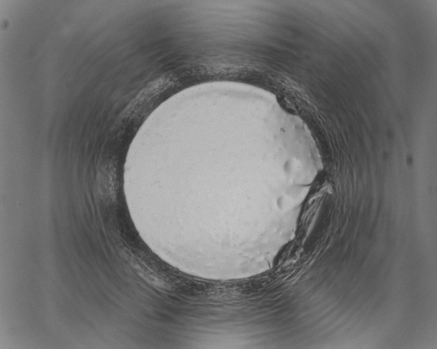 X0000062140644200601060924