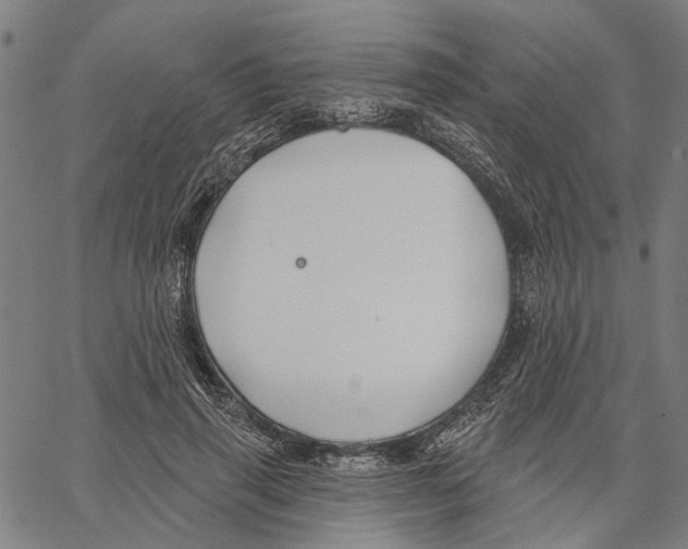 X0000062140645200601060924