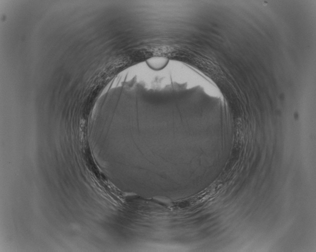 X0000062140650200601060924