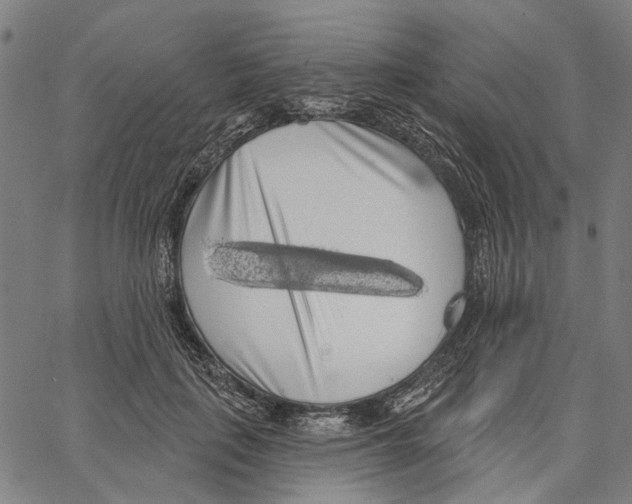 X0000062140651200601060924