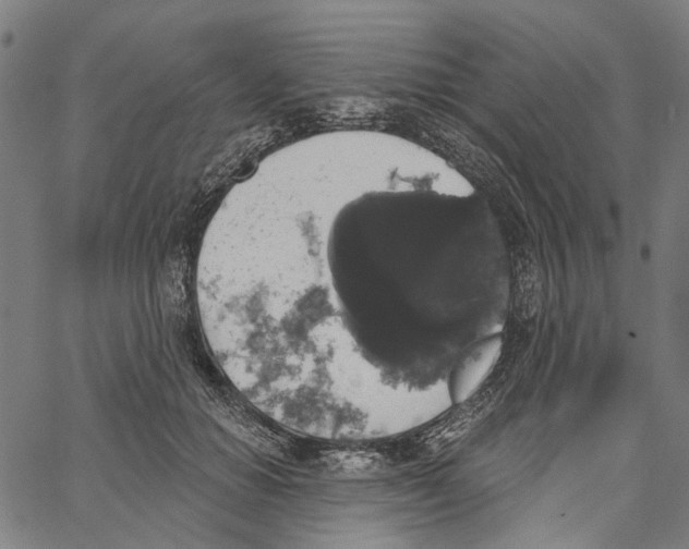 X0000062140654200601060924