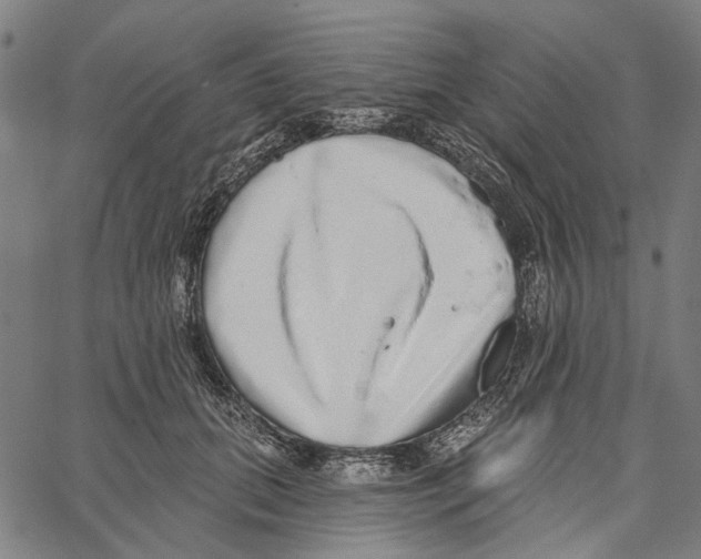 X0000062140655200601060924