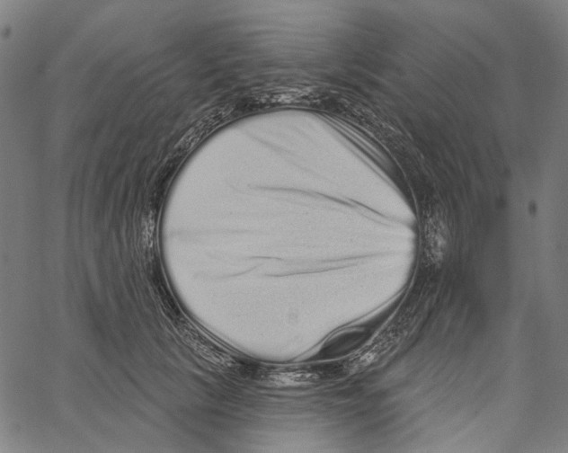 X0000062140657200601060924