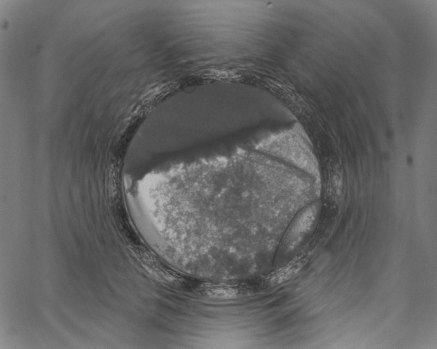 X0000062140658200601060924