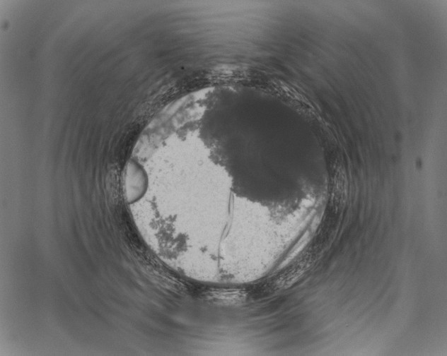 X0000062140659200601060924