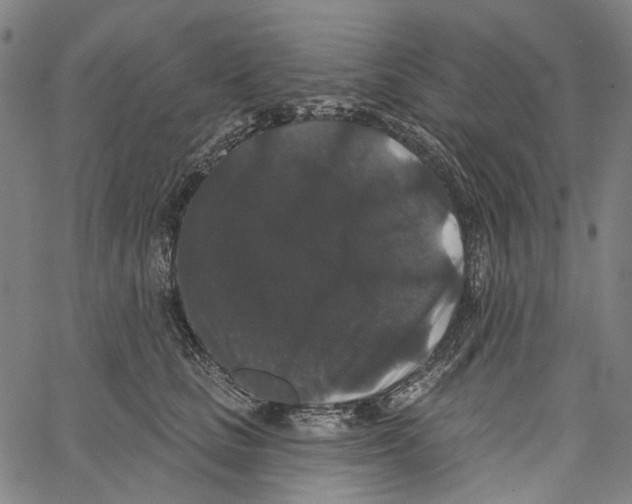 X0000062140661200601060924