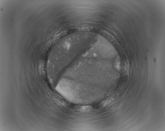 X0000062140663200601060924