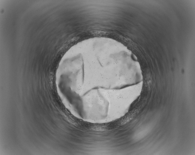 X0000062140664200601060924