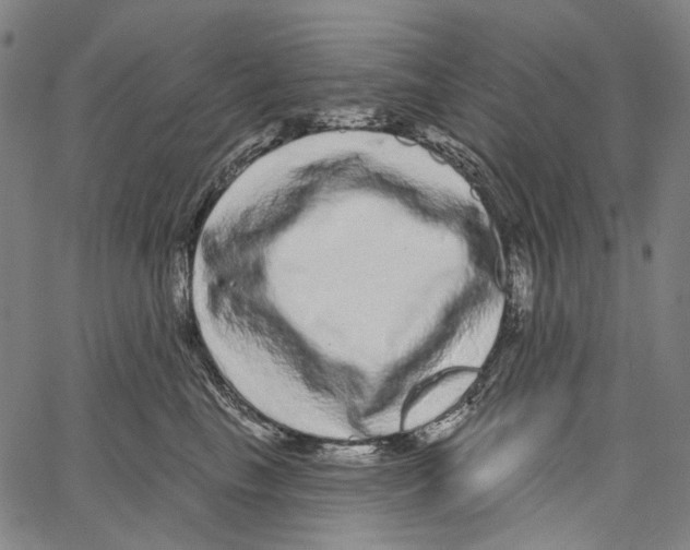 X0000062140665200601060924