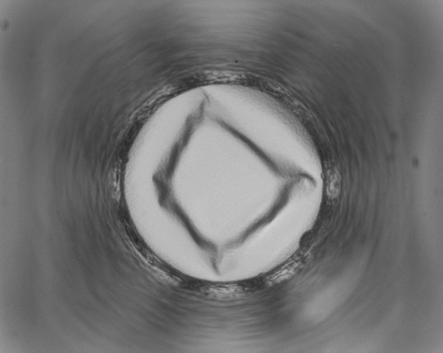 X0000062140666200601060924