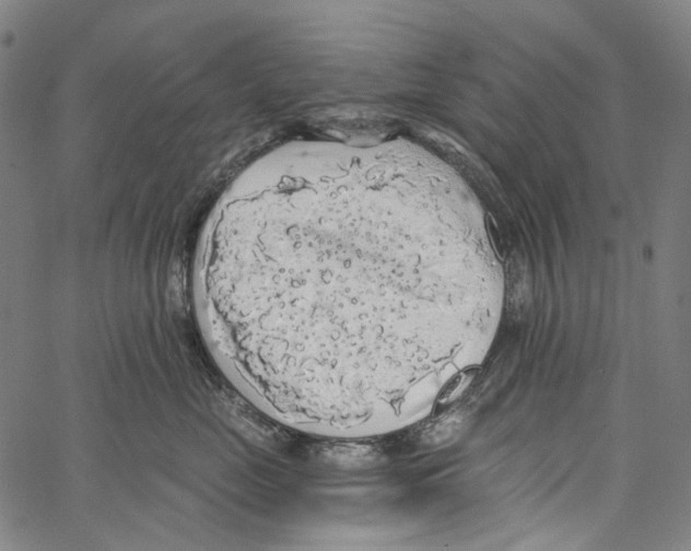 X0000062140669200601060925