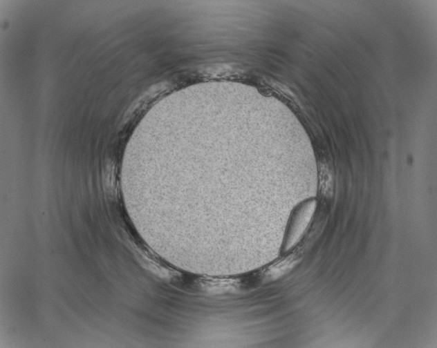 X0000062140670200601060925