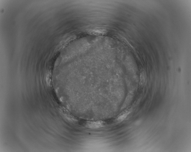 X0000062140671200601060925