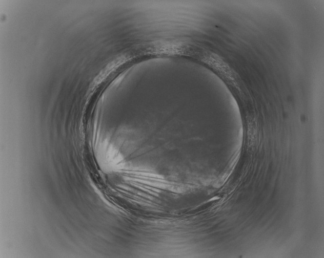 X0000062140674200601060924